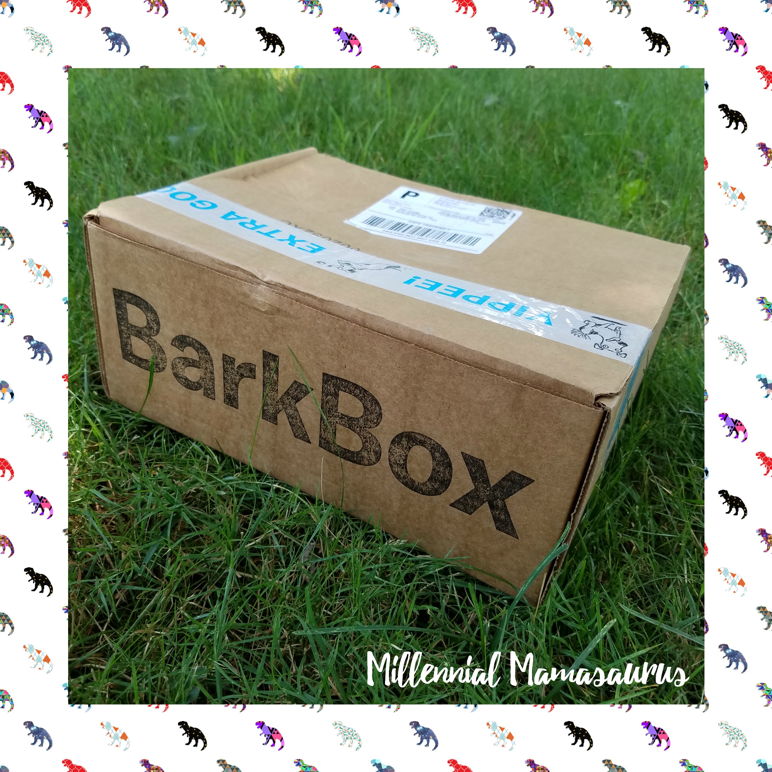 July's BarkBox Try a Month for Free! Millennial Mamasaurus